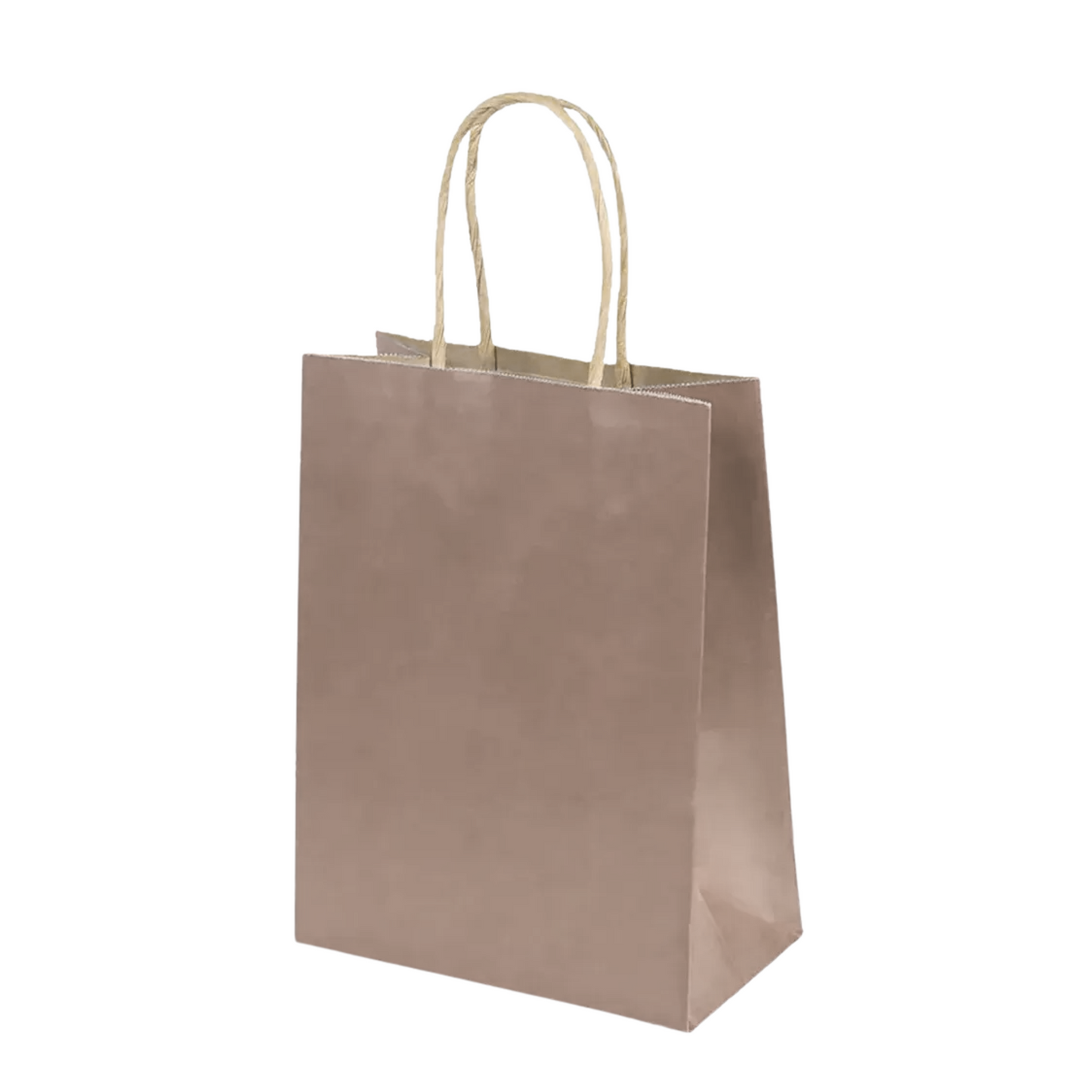 Bolsa de papel con manilla 12 Unidades