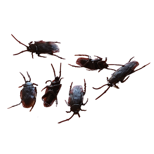 Decoración Halloween Cucarachas Realistas 7x2 cm 6 Unidades