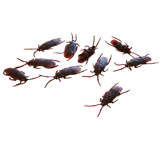 Decoración Halloween Cucarachas Realistas 7x2 cm  10 Unidades