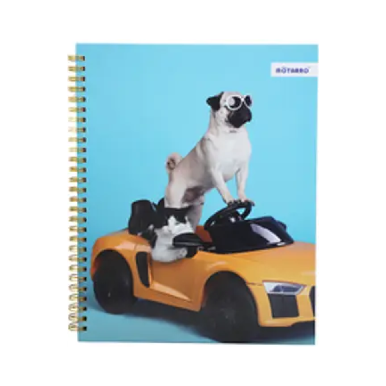 Cuaderno Universitario Mascotas 21x25 cm 100 hojas