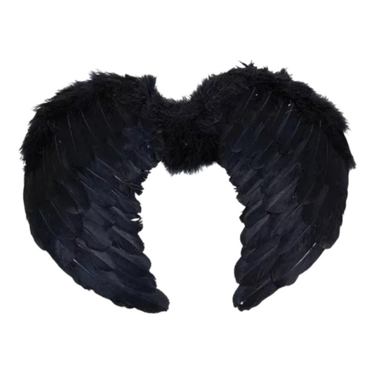 Alas de Ángel 35x44 cm