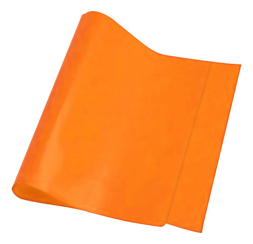 Forros Cuadernos Universitarios 45,5x26,1 Cm Variedades