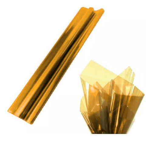 Papel Celofán 2 Pliegos 100x62,5 Cm